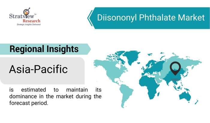 Diisononyl-Phthalate-Market-Regional-Insights